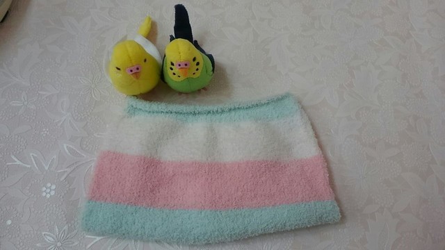 腹巻,子供用,腹巻,