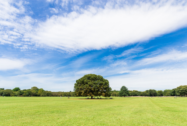 昭和記念公園 みんなの原っぱ,国営昭和記念公園,