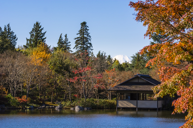 日本庭園,国営昭和記念公園,
