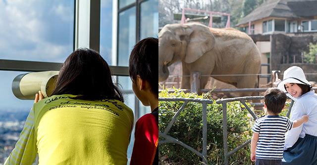 展望台から覗く親子と動物園でゾウを見る親子,