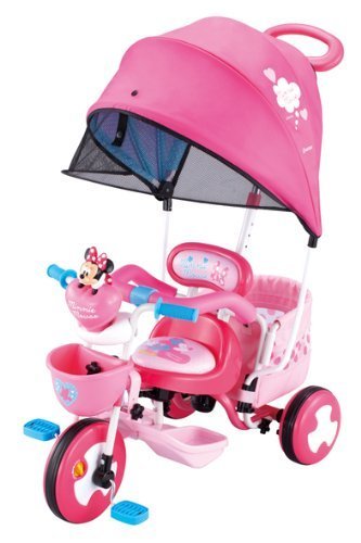 アイデス アイベーシック カーゴ ドーム ミニーマウス,2歳,誕生日,女の子