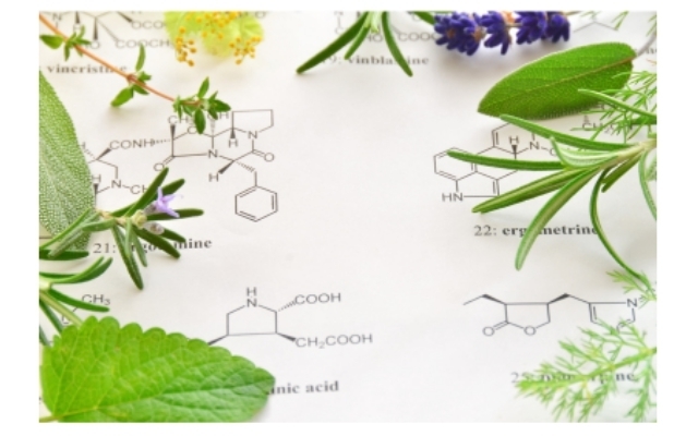 植物成分を使ったスキンケア,