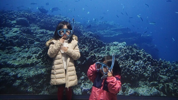 おもちゃのめがねをかける姉妹,伊豆三津シーパラダイス,魅力,静岡県
