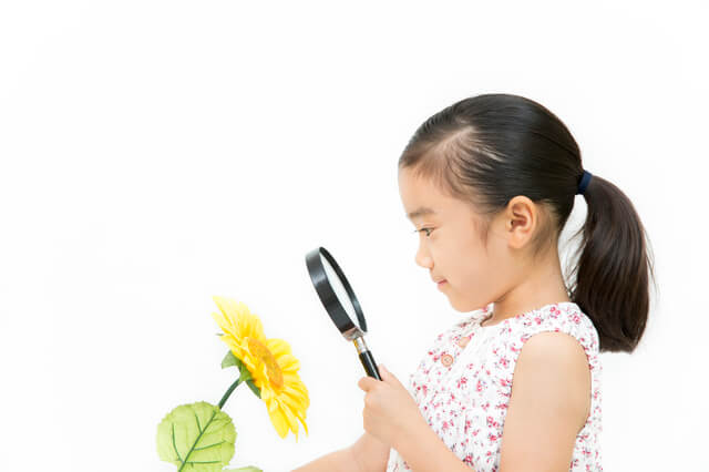 自由研究中,手作り,石鹸,