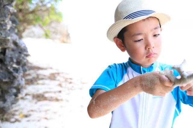 砂浜で遊ぶ少年,子ども,帽子,