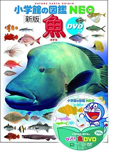 DVD付　新版　魚 (小学館の図鑑 NEO),魚,絵本,