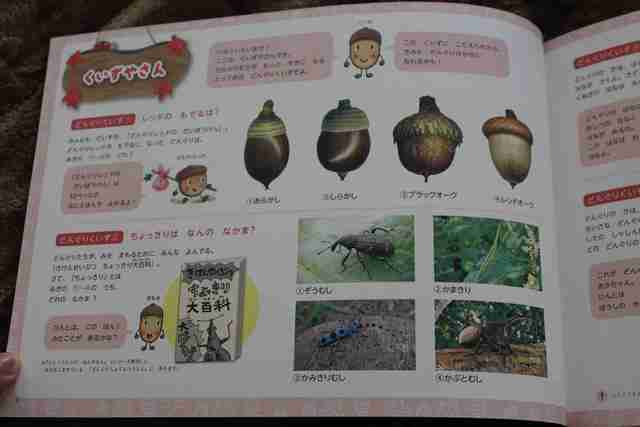 オリジナル,なかやみわ,絵本,