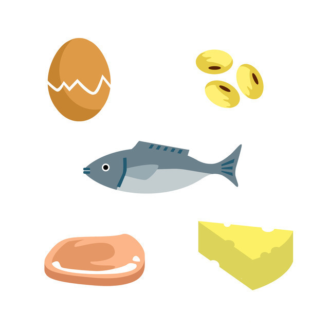 たんぱく質の多い食品,離乳食,ささみ,