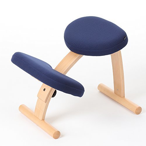 Sakamoto house(サカモトハウス) バランスチェア イージー ネイビー(146BN004),子ども,椅子,