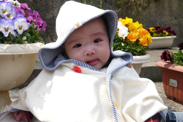 ポンチョを着た赤ちゃん,赤ちゃん,ポンチョ,