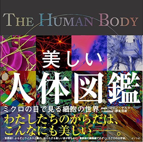 美しい人体図鑑 (一般書),