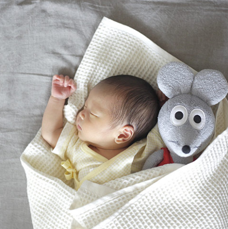 新生児の赤ちゃん,子ども,記念撮影,