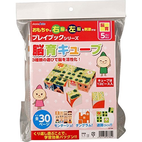 アーテック 脳育キューブプレイブック 7384,知育玩具,5歳,おすすめ