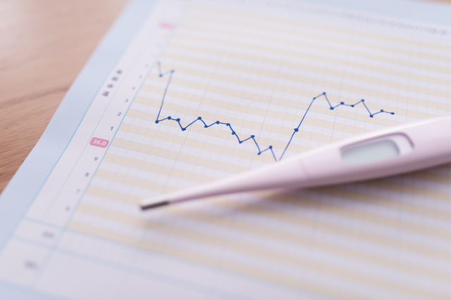 基礎体温票,妊娠初期症状,チェック,