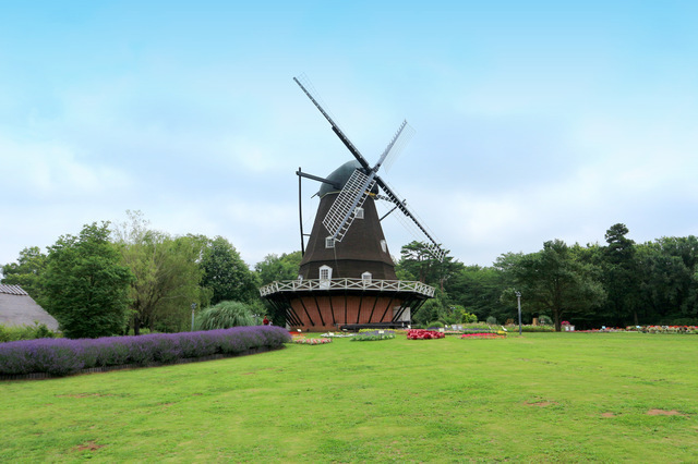 ふなばしアンデルセン公園風車,船橋,アンデルセン,