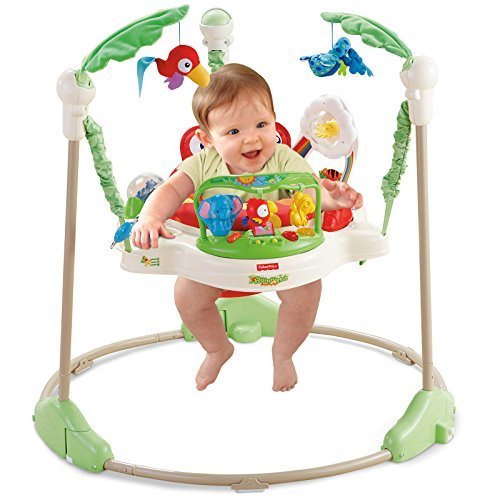 フィッシャープライス レインフォレスト・ジャンパルー 2016 【日本正規品】 (CCT41),出産祝い,プレゼント,ランキング