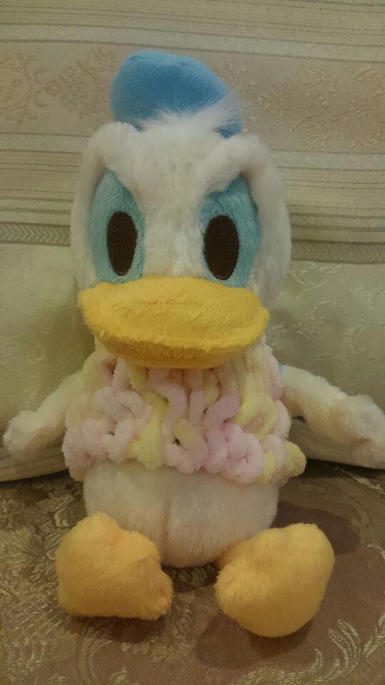 ニットベストを着たドナルドダック,キッズ,ニットベスト,