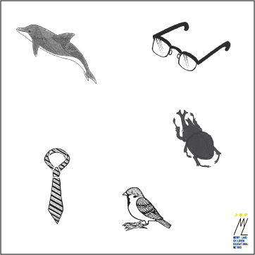 しりとり問題1,しりとり,小学校受験,言語