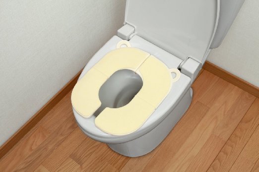 折りたたみ式補助便座,トイレトレーニング,補助便座,悩み
