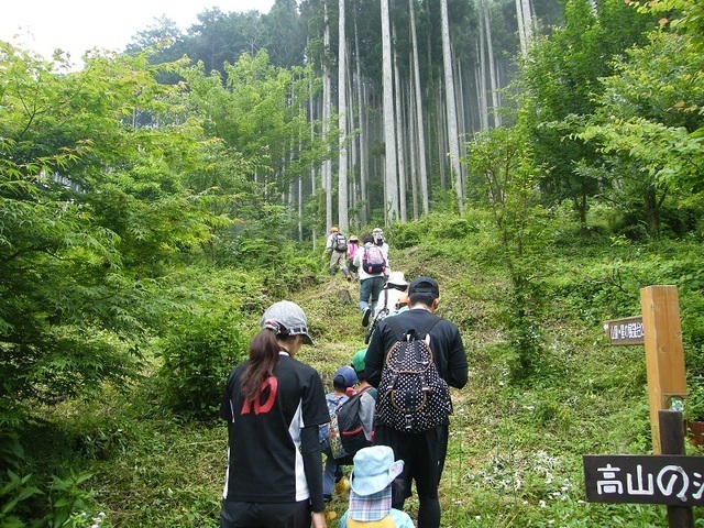 ,静岡,カブトムシ,スポット
