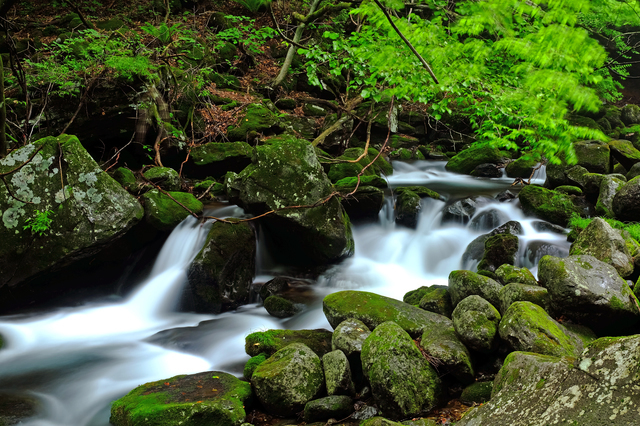 塩原渓谷,天鷹酒造,
