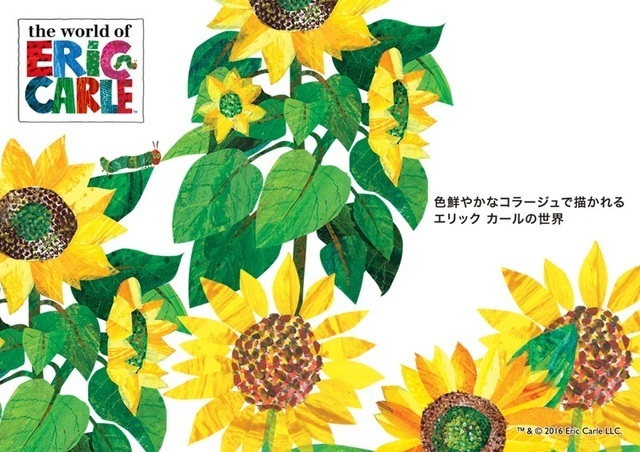 エリックカール,Tシャツ,グラニフ,親子