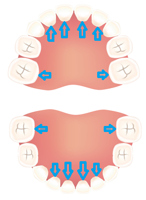,歯医者,0歳,歯の生え方