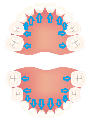,歯医者,0歳,歯の生え方