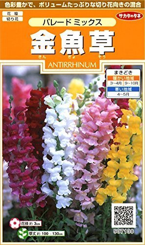 金魚草 パレードミックス,花,栽培キット,簡単