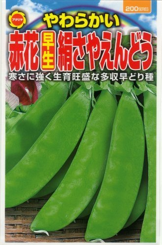 アタリヤ農園 ガーデニング用品 種 やわらかい早生赤花絹さやえんどう,野菜,栽培,簡単
