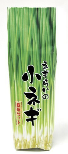 ネギらいの小ネギ ,野菜,栽培,簡単