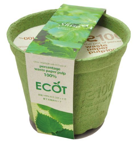 エコットM 青ジソ ,野菜,栽培,簡単