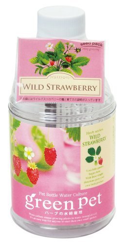 育てるグリーンペット ハーブ ワイルドストロベリー ,野菜,栽培,簡単