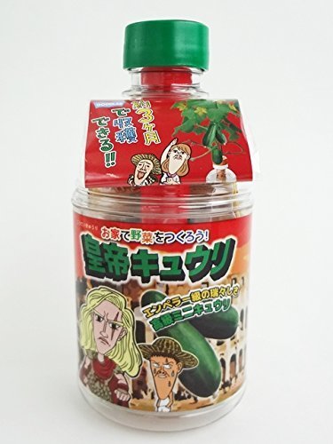 ペットマト 皇帝キュウリ,野菜,栽培,簡単