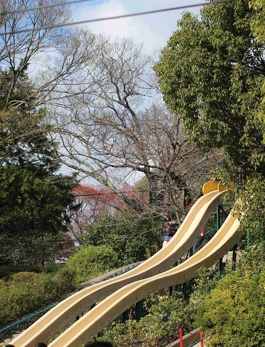 滑り台,五月山公園,無料,子連れ
