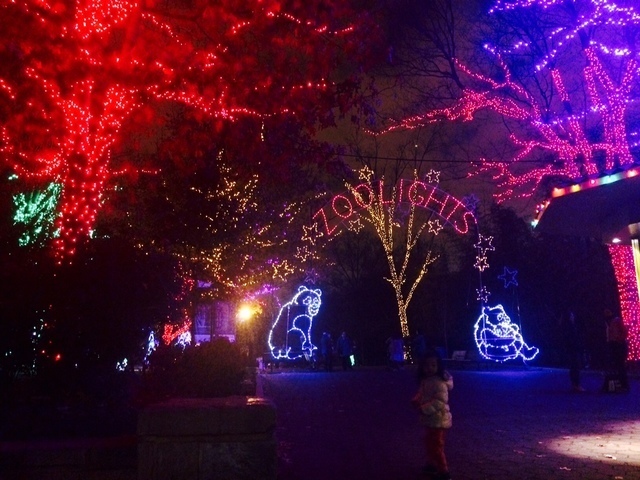 ワシントンDCの動物園ライトアップ,アメリカ,子育て ,イベント