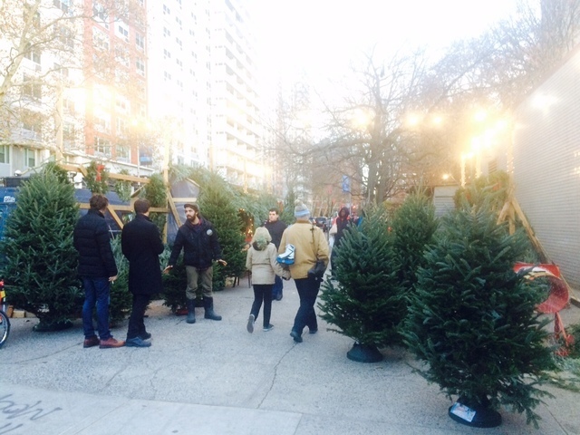 クリスマスツリー専用の屋台,アメリカ,子育て ,イベント