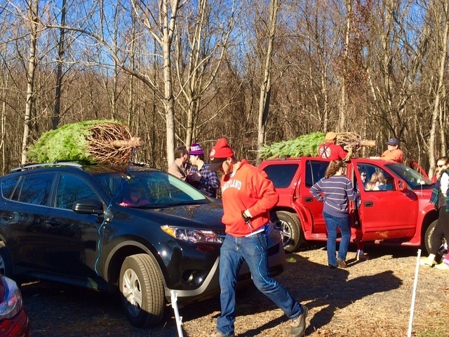 クリスマスツリーを車に乗せて,アメリカ,子育て ,イベント