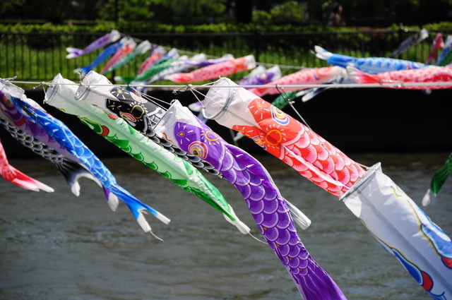 川面に揺れる鯉のぼり,端午の節句,鯉のぼり,由来