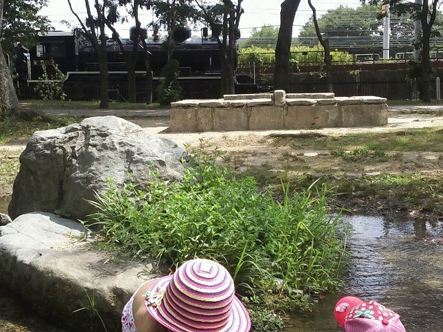 梅小路公園,京都,子連れ,新幹線