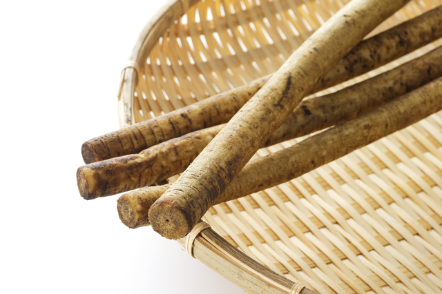 ごぼう,離乳食,ごぼう,