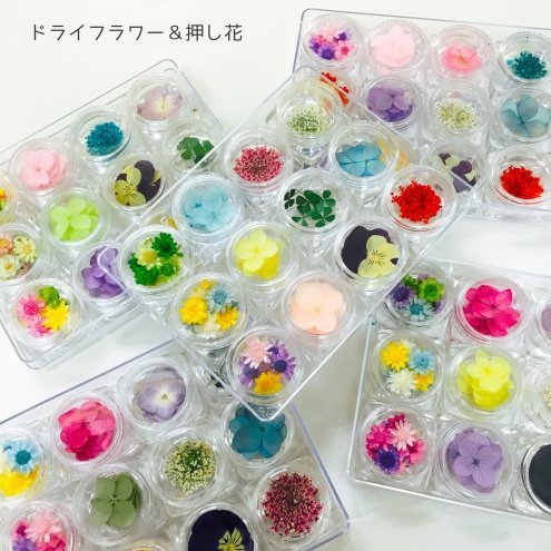 GreenOcean おまかせ12種(^^) お花いっぱい 押し花・ドライフラワーセット,スマホケース,手作り,