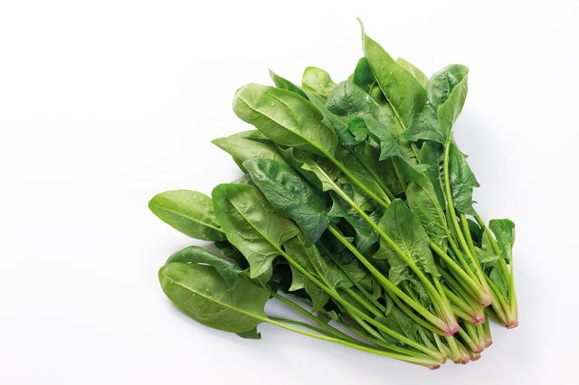 ほうれん草,離乳食,ホワイトソース,