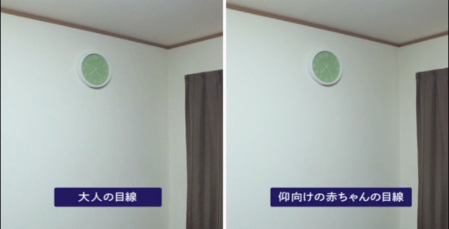 大人の目線と仰向け赤ちゃんの目線比較GIF,