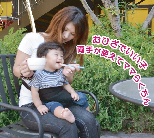 セーフティベルトの概要,チェア,ベルト,おすすめ