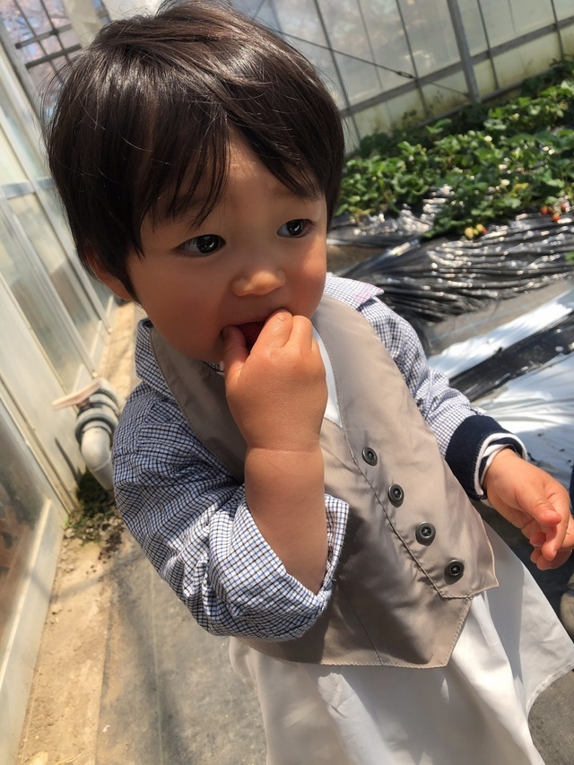 マールマールのエプロンをつけた男の子,マールマール,