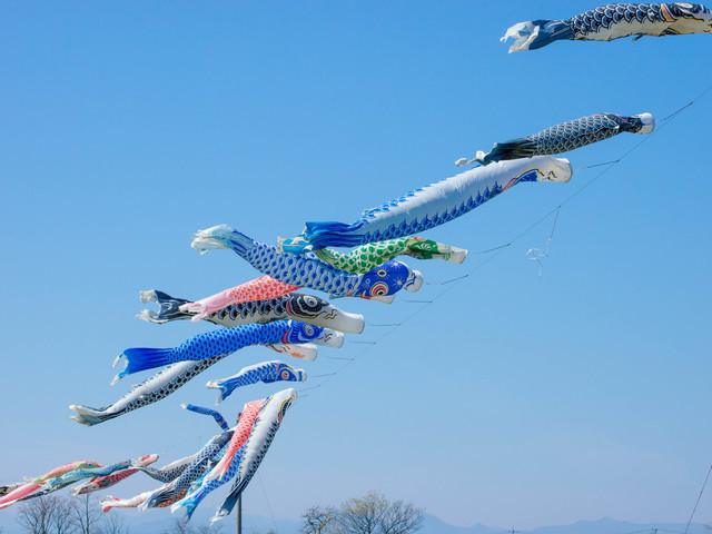 風におよぐ鯉のぼり,鯉のぼり,選び方,おすすめ