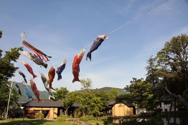 庭用鯉のぼり,鯉のぼり,選び方,おすすめ