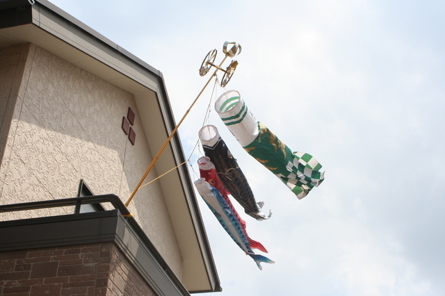 ベランダ用鯉のぼり,鯉のぼり,選び方,おすすめ