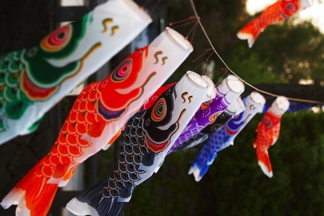 鯉のぼりの素材,鯉のぼり,選び方,おすすめ